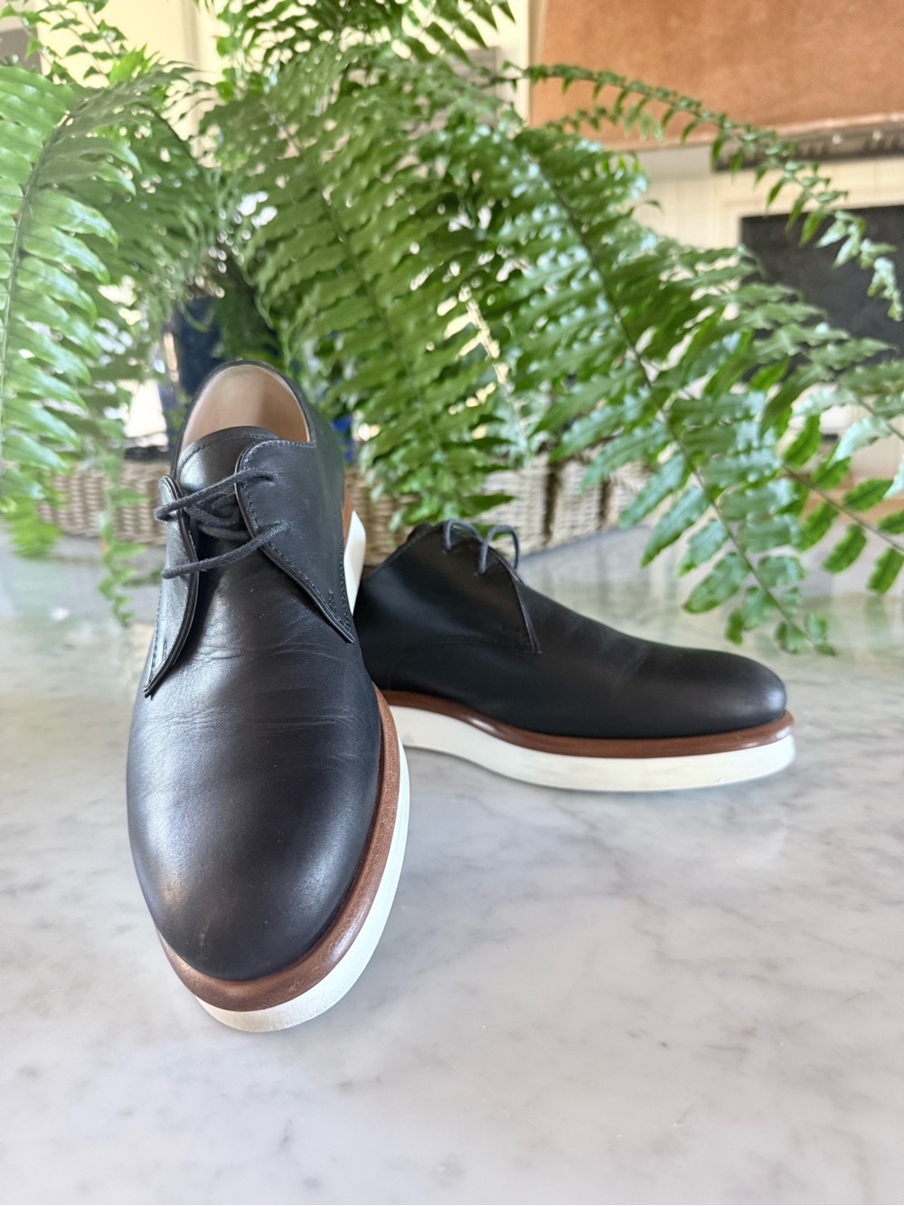 Tod's Black Leather Oxford with Brown Welt and White Sole